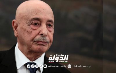 مجلس النواب يجدد موقفه الداعم للقضية الفلسطينية ورفضه محاولات التهجير