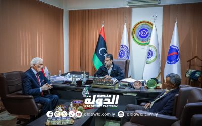 وزير الكهرباء يناقش دعم اللوائح والتشريعات الداعمة لتطوير القطاع.