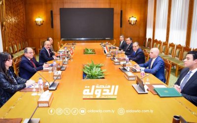 وزيرا الخارجية المصري والتونسي يؤكدان ضرورة إجراء انتخابات متزامنة بليبيا في أقرب الآجال