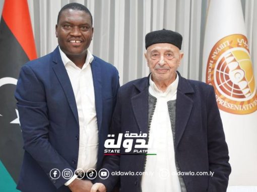 رئيس مجلس النواب يبحث تعزيز علاقات التعاون مع جنوب أفريقيا في مختلف المجالات