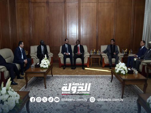 رئيس الوزراء يبحث مع رئيس جمهورية غينيا بيساو أهمية التعاون الإفريقي