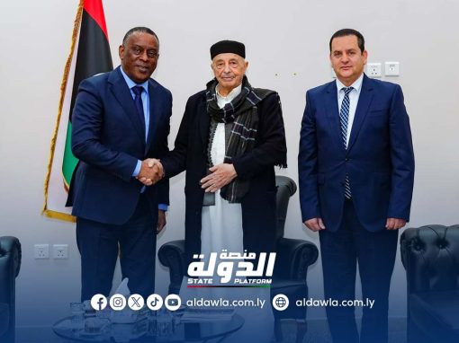 المستشار عقيلة صالح يبحث تعزيز التعاون مع رئيس معهد الاستراتيجيات الإفريقية