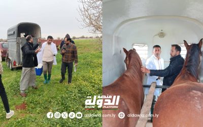 وزارة الزراعة تعلن انطلاق الحملة الوطنية لتحصين الخيول المشاركة في المهرجانات الدولية