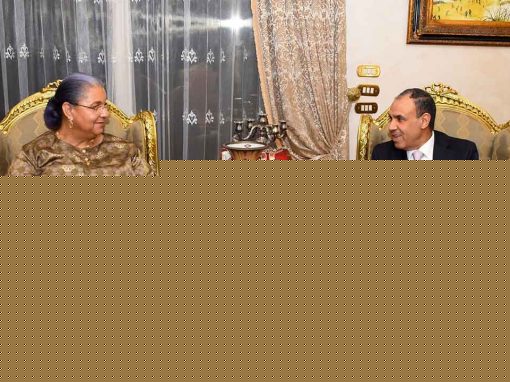 مصر تؤكد دعمها للحل السياسي في ليبيا خلال لقاء وزير الخارجية بالمبعوثة الأممية