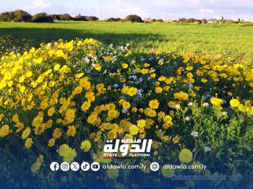 اليوم يبدأ الربيع رسميًا في ليبيا: تساوي الليل والنهار وظواهر فلكية مميزة