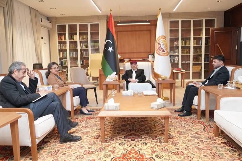 المستشار صالح يبحث مع خوري مسار الانتخابات والاستقرار