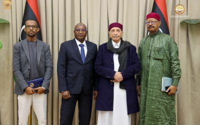 رئيس مجلس النواب يلتقي سفير تشاد لتعزيز التعاون الثنائي بين البلدين